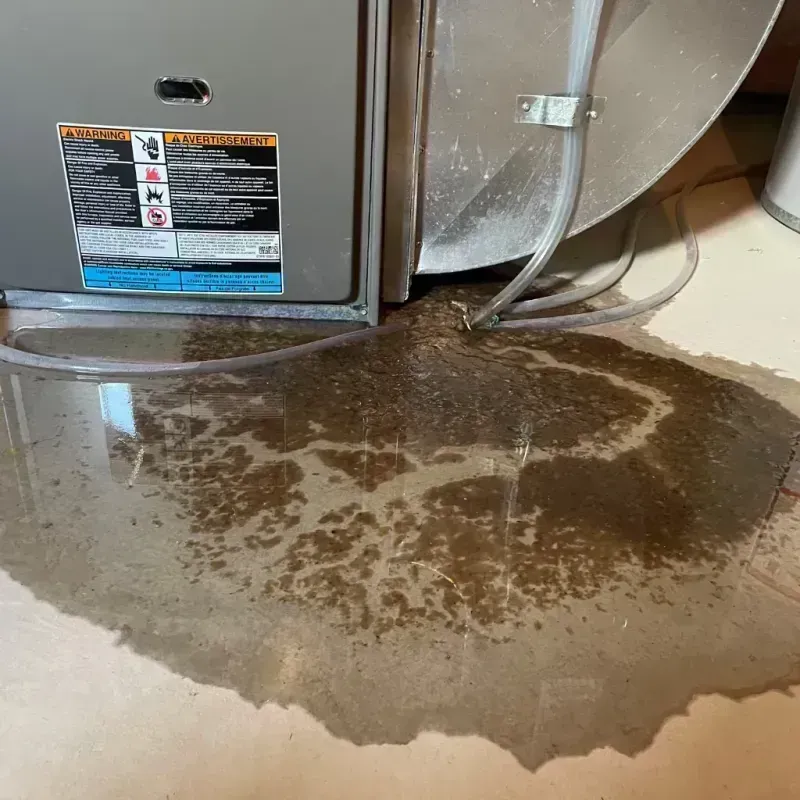 Appliance Leak Cleanup in Watervliet, NY